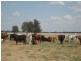Moonie QLD 4406