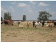 Moonie QLD 4406