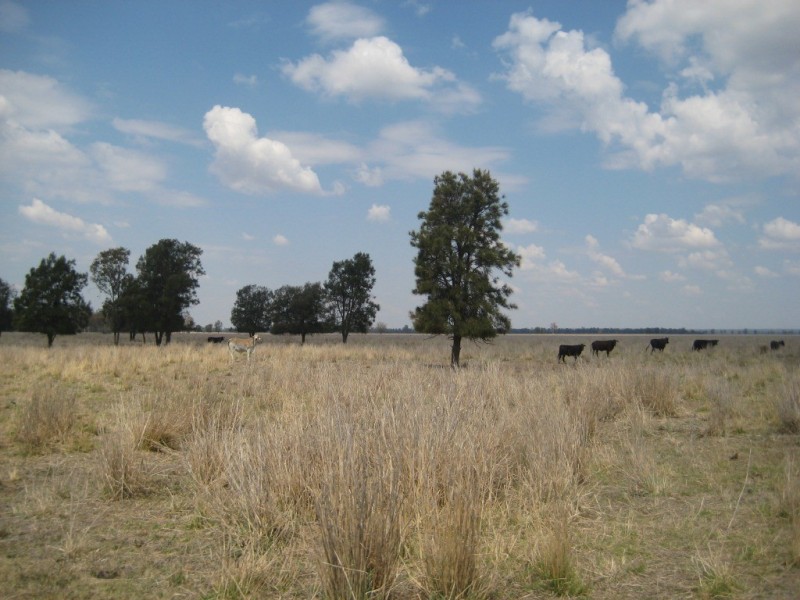 Moonie QLD 4406