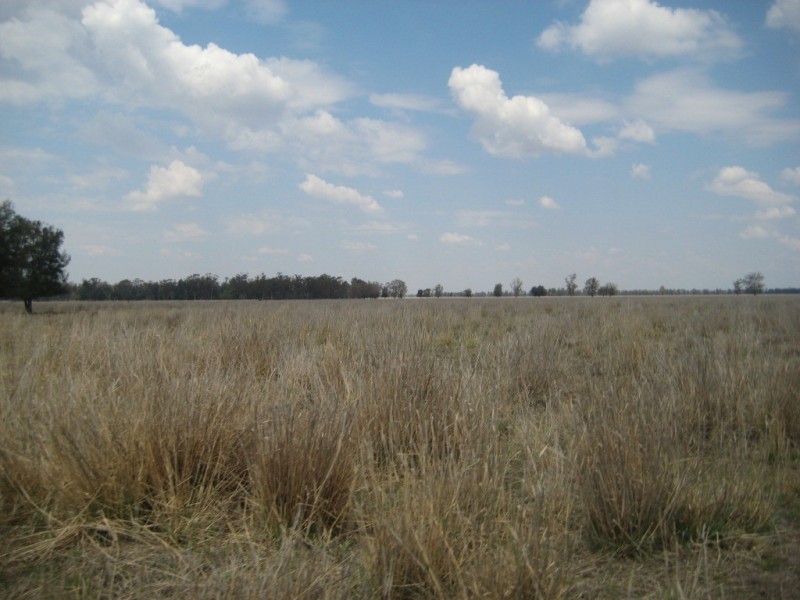 Moonie QLD 4406