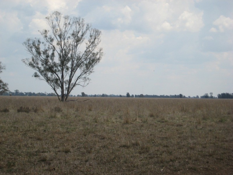 Moonie QLD 4406