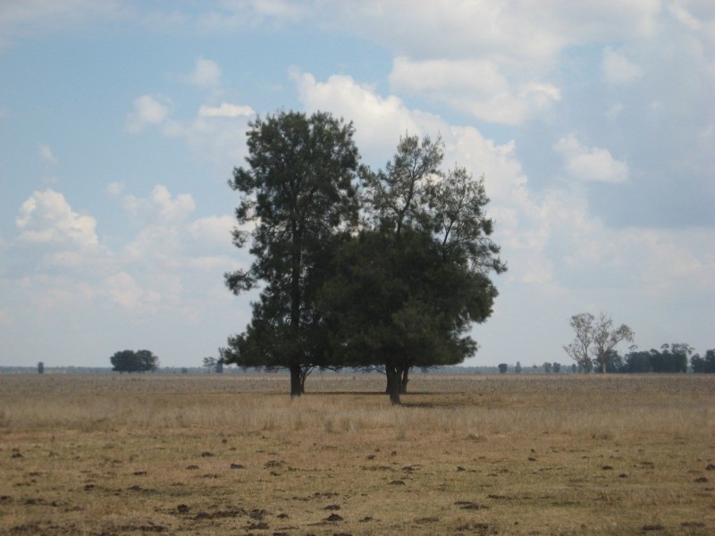 Moonie QLD 4406