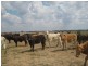 Moonie QLD 4406