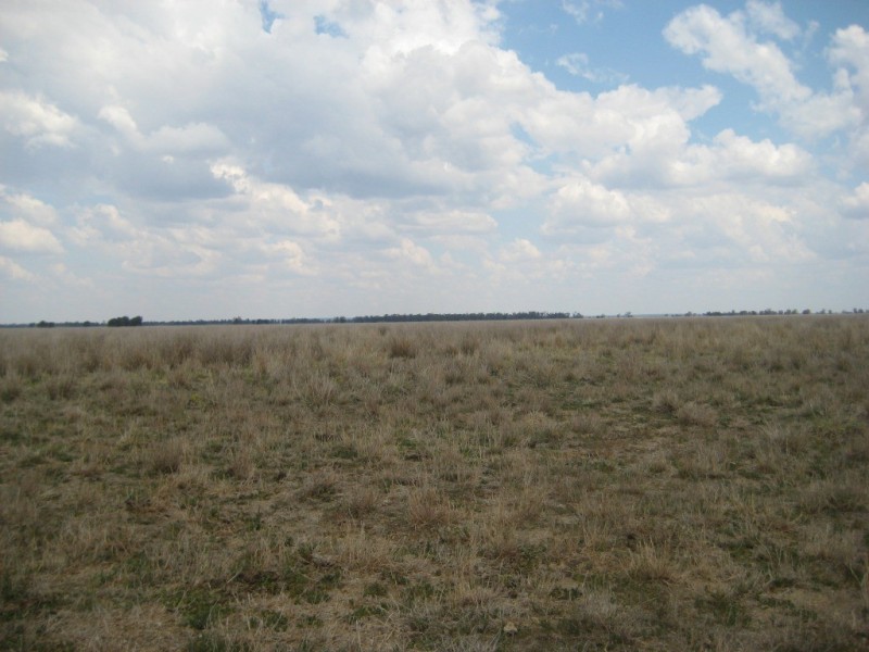 Moonie QLD 4406