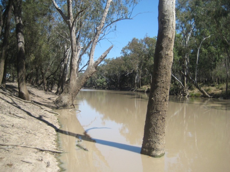 Moonie QLD 4406