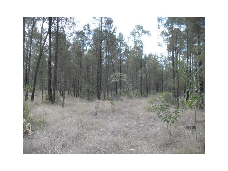 197 RETREAT ROAD, Miles QLD 4415