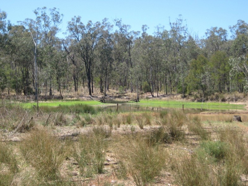 Mundubbera QLD 4626