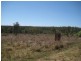 Mundubbera QLD 4626