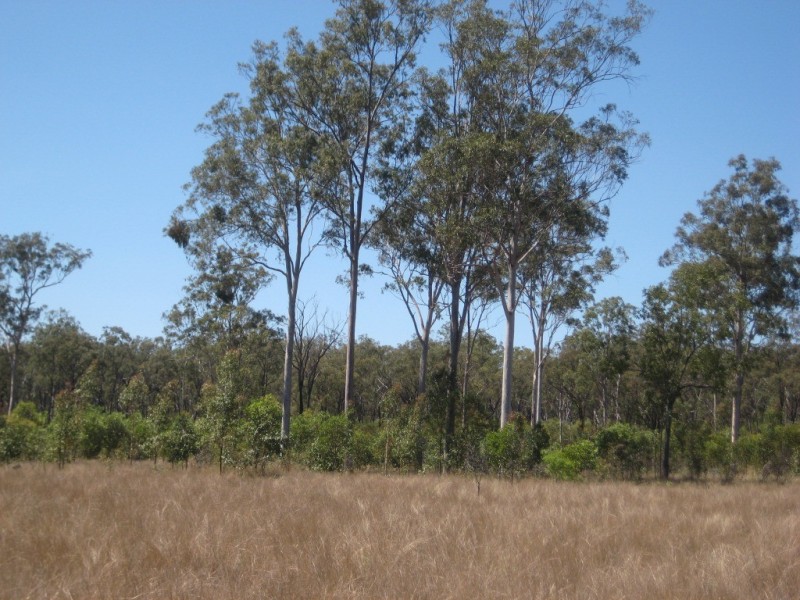 Mundubbera QLD 4626