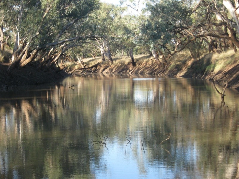 Charleville QLD 4470