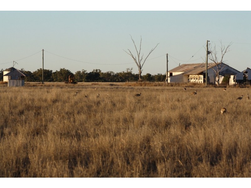 Charleville QLD 4470