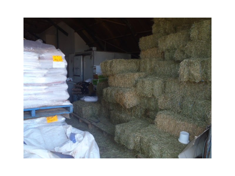 26 – 28 Main Street, Bollon QLD 4488