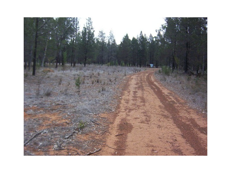 LOT 2 MATTHEWS ROAD, Miles QLD 4415