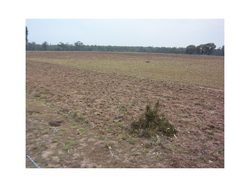 LOT 2 MATTHEWS ROAD, Miles QLD 4415