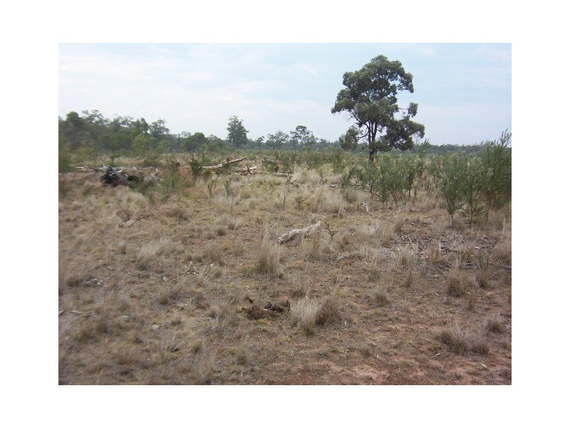 LOT 2 MATTHEWS ROAD, Miles QLD 4415