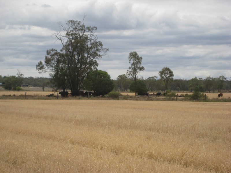 Dalby QLD 4405