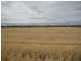 Dalby QLD 4405