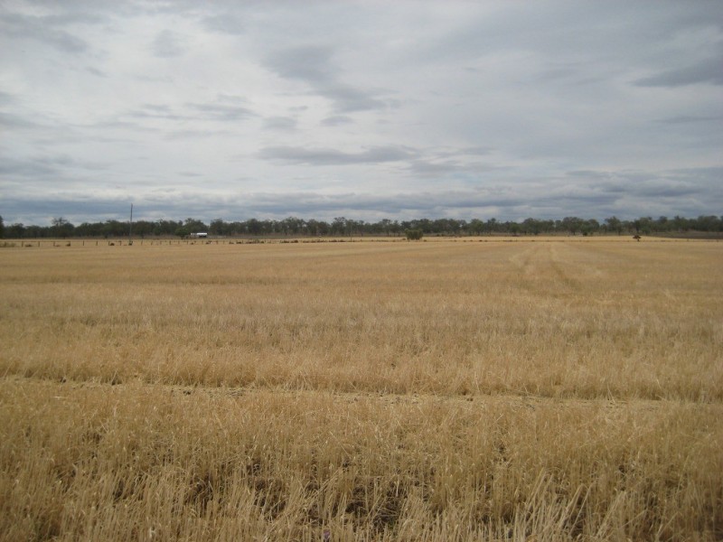 Dalby QLD 4405
