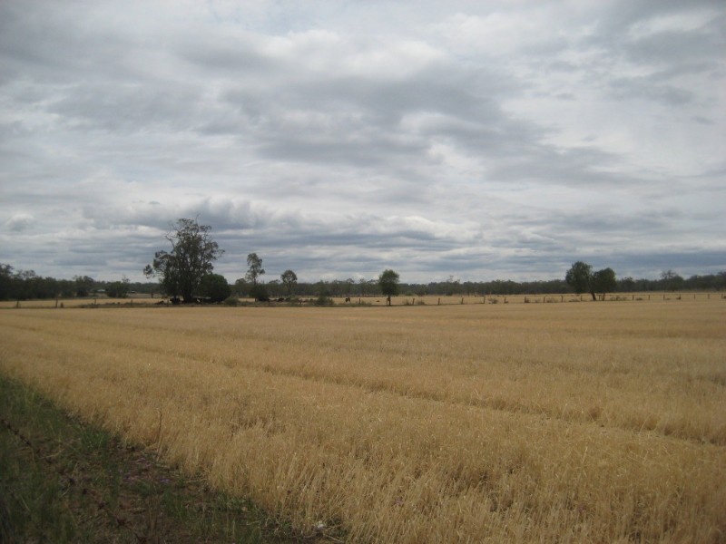 Dalby QLD 4405