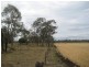 Dalby QLD 4405