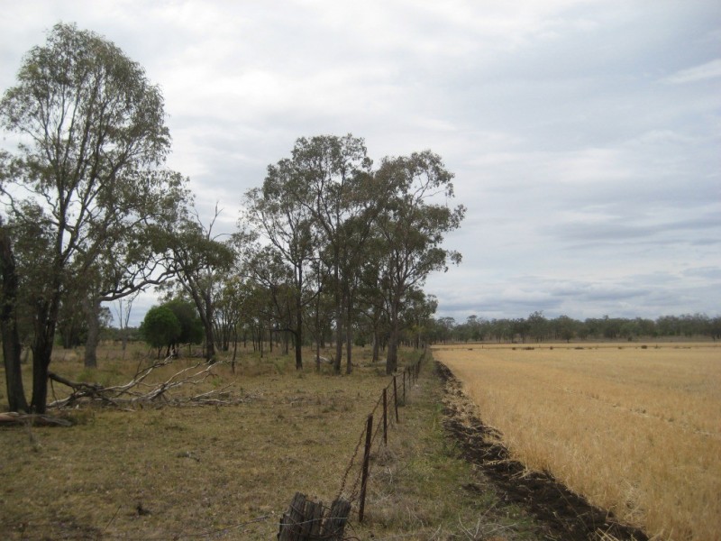 Dalby QLD 4405
