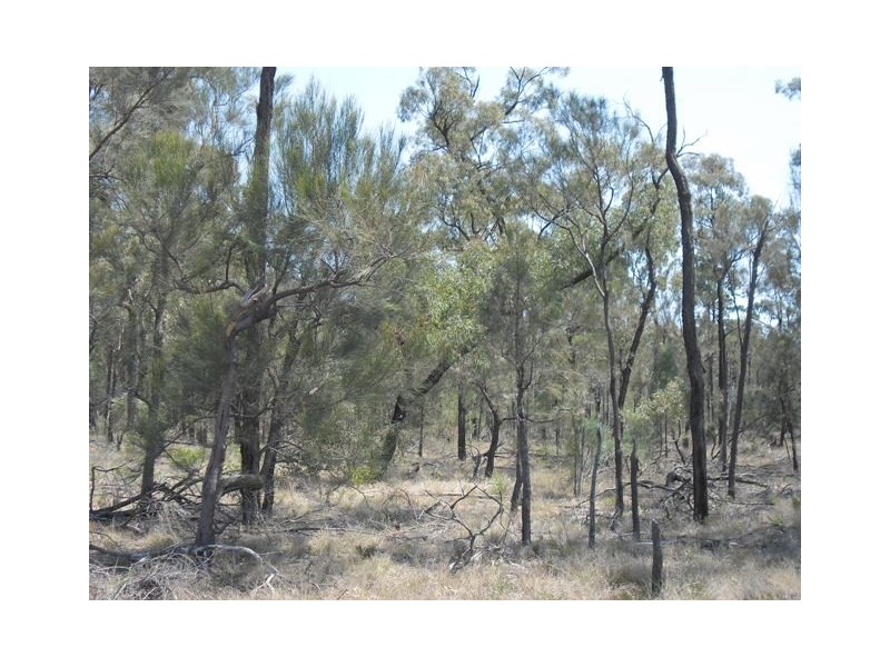 LOT 1 AYTON RD, Miles QLD 4415