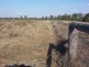 LOT 16 HARRISONS RD, Dulacca QLD 4425