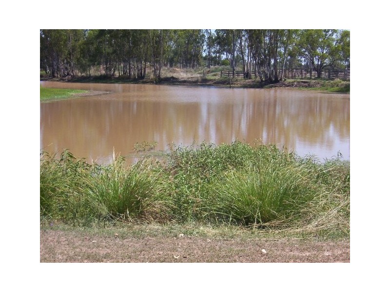 312 JACKSON WANDOAN RD, Jackson QLD 4426