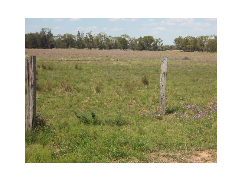 312 JACKSON WANDOAN RD, Jackson QLD 4426