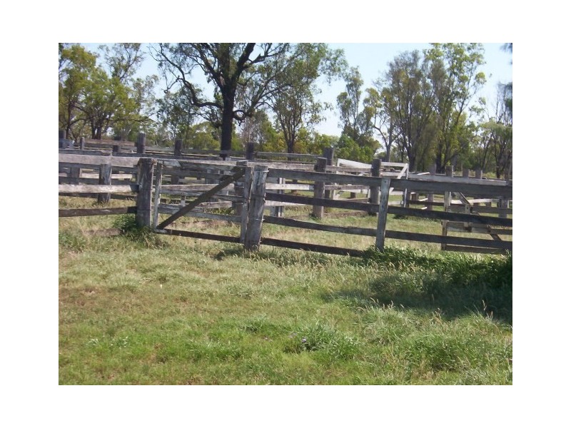 312 JACKSON WANDOAN RD, Jackson QLD 4426