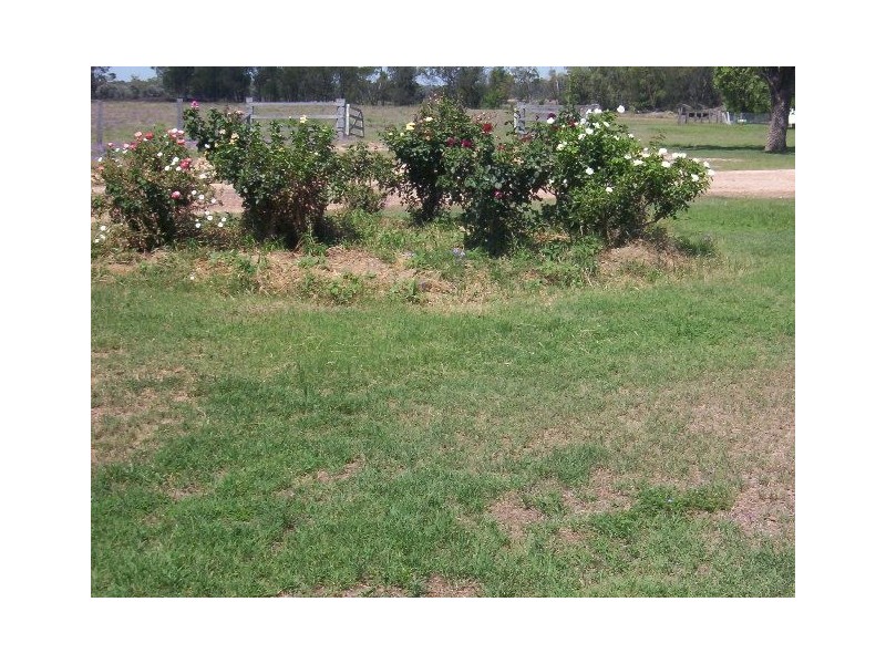 312 JACKSON WANDOAN RD, Jackson QLD 4426