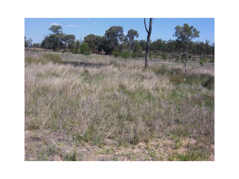 312 JACKSON WANDOAN RD, Jackson QLD 4426