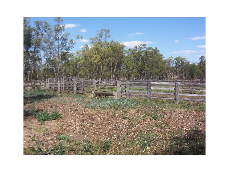 312 JACKSON WANDOAN RD, Jackson QLD 4426