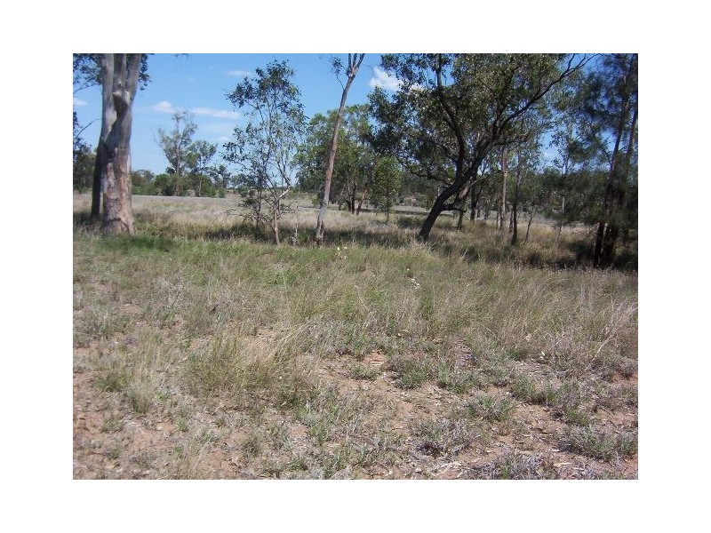 312 JACKSON WANDOAN RD, Jackson QLD 4426