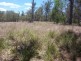 * LEICHHARDT HIGHWAY, Miles QLD 4415
