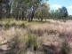 * LEICHHARDT HIGHWAY, Miles QLD 4415