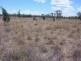 * LEICHHARDT HIGHWAY, Miles QLD 4415