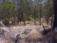* LEICHHARDT HIGHWAY, Miles QLD 4415