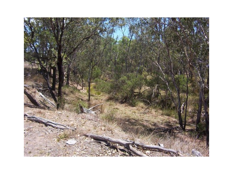 * LEICHHARDT HIGHWAY, Miles QLD 4415