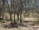 * LEICHHARDT HIGHWAY, Miles QLD 4415