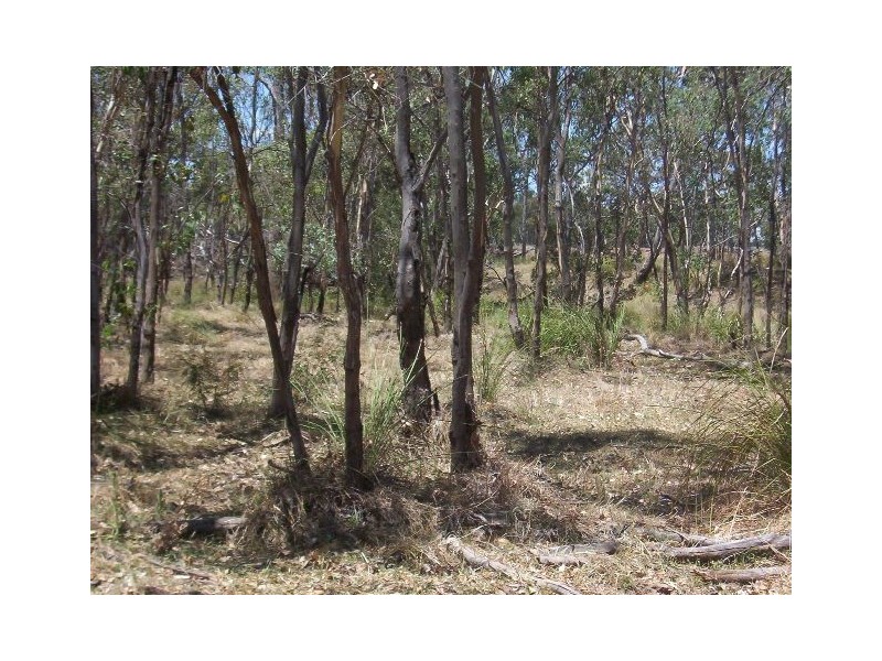 * LEICHHARDT HIGHWAY, Miles QLD 4415
