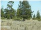 Condamine QLD 4416