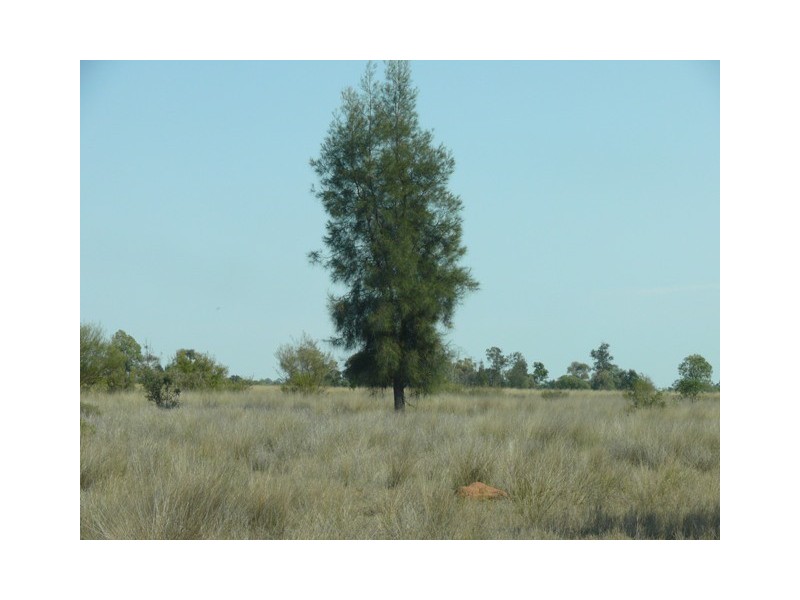 Condamine QLD 4416