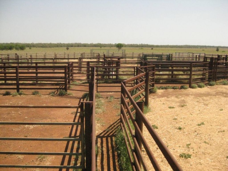Mungindi NSW 2406