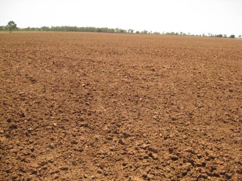 Mungindi NSW 2406