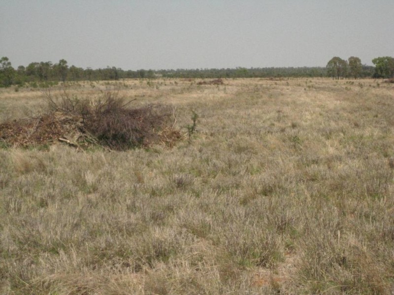 Mungindi NSW 2406