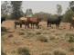Mungindi NSW 2406