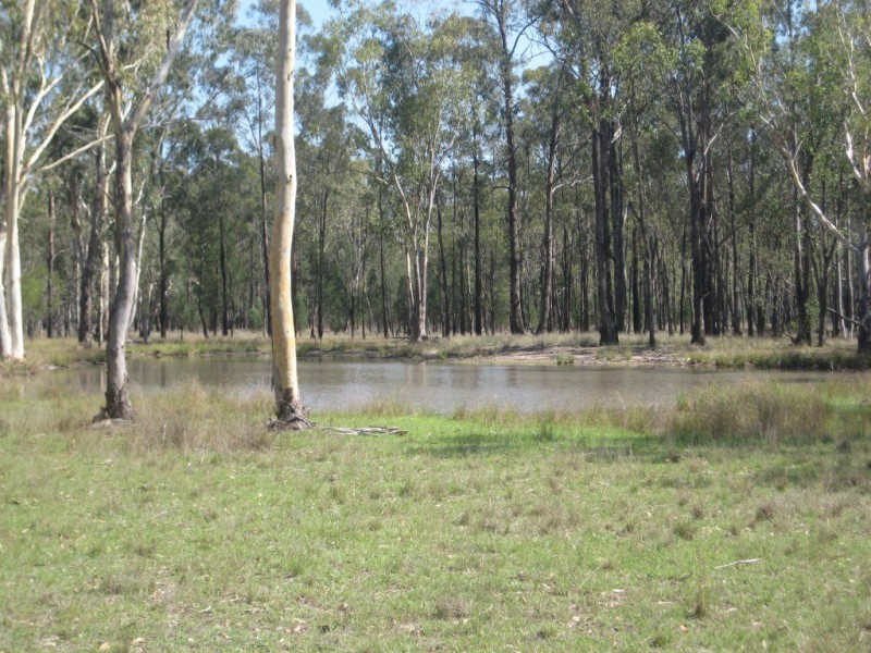 Kogan QLD 4406