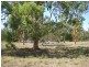 Kogan QLD 4406