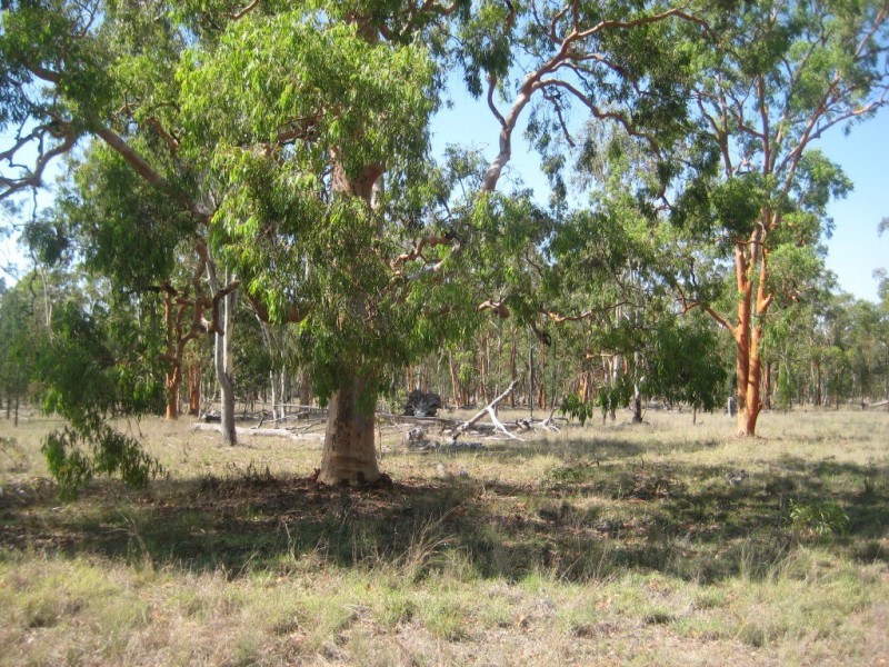 Kogan QLD 4406